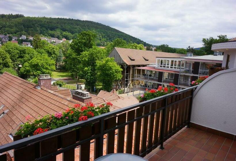 스탠다드 발코니 룸, Lorösch