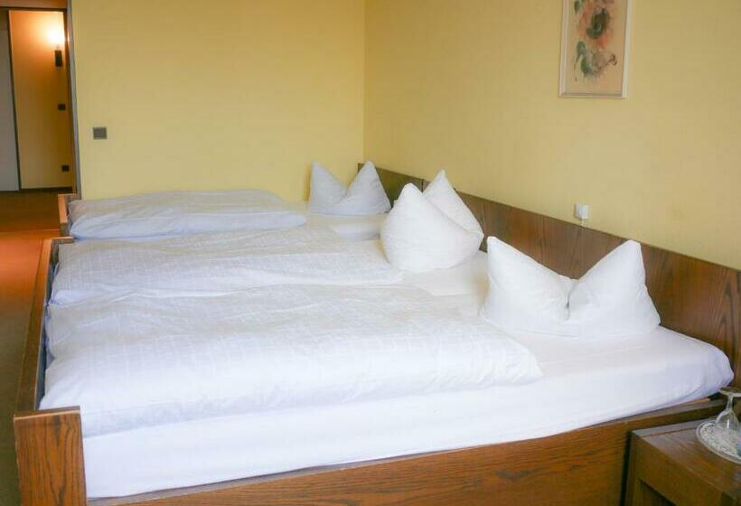 스탠다드 트리플 룸, Oronto