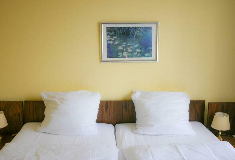 스탠다드 룸, Oronto