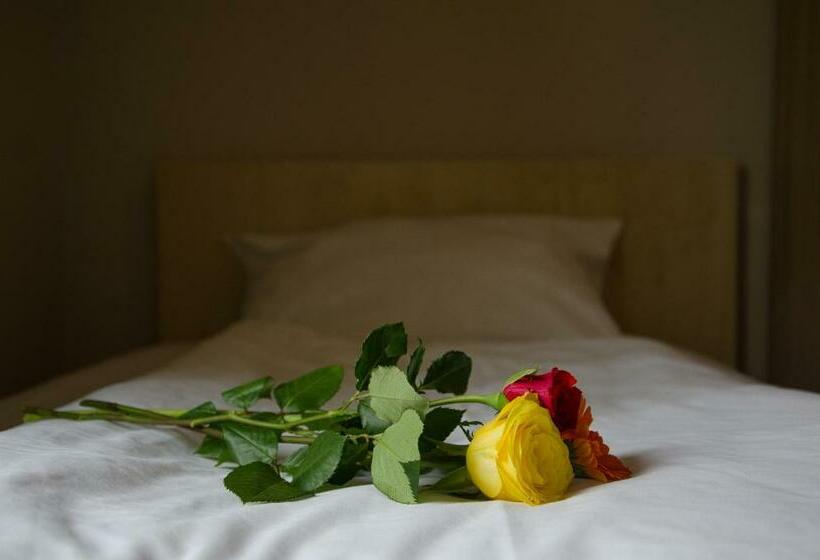 Номер Стандарт Индивидуальный, Panorama Hotel Frankfurt Offenbach Süd