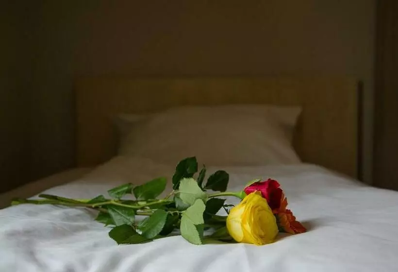 اتاق استاندارد یک نفره, Panorama Hotel Frankfurt Offenbach Süd