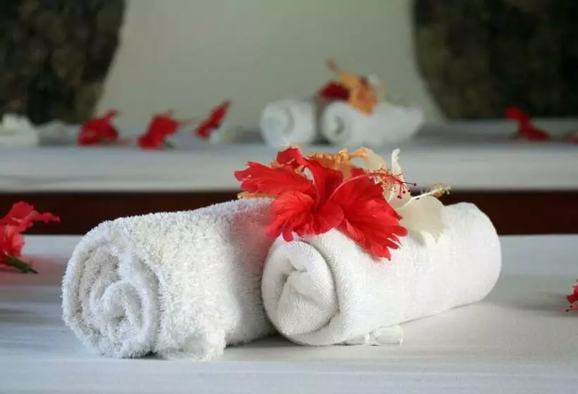 コンフォートルーム, Revita   Naturresort & Spa