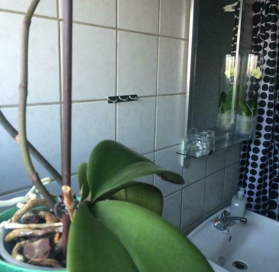 غرفة قياسية, Ribe