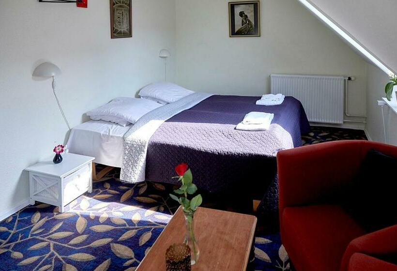 غرفة قياسية, Ribe