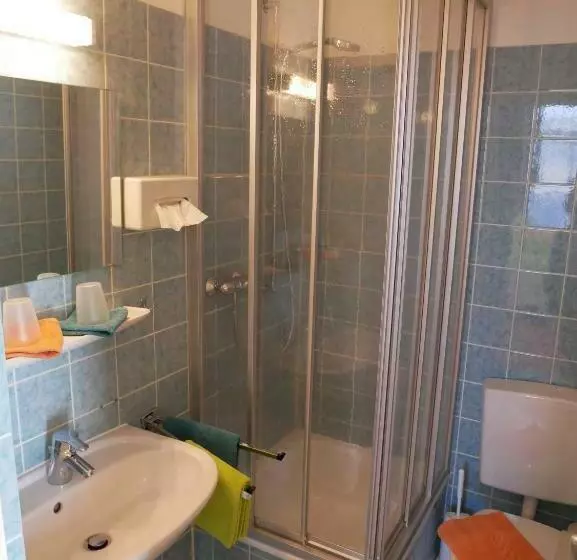 クラシックルーム, Wochner S Hotel Sternen Am Schluchsee Hochschwarzwald