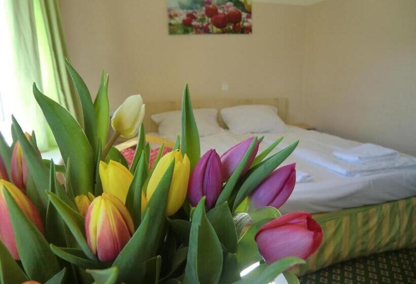 Номер Стандарт, Panorama Hotel Frankfurt Offenbach Süd