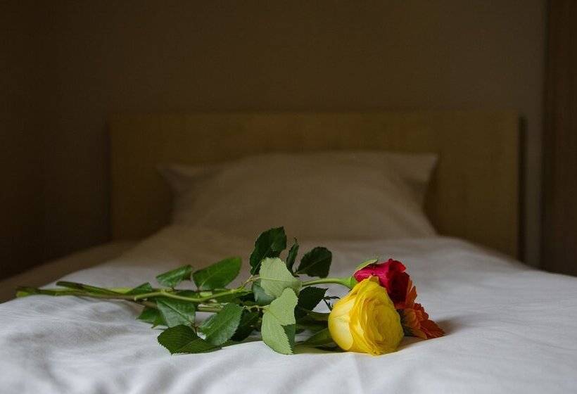 Номер Стандарт Индивидуальный, Panorama Hotel Frankfurt Offenbach Süd