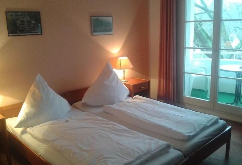 חדר סטנדרט, Spreewaldhotel Leipe