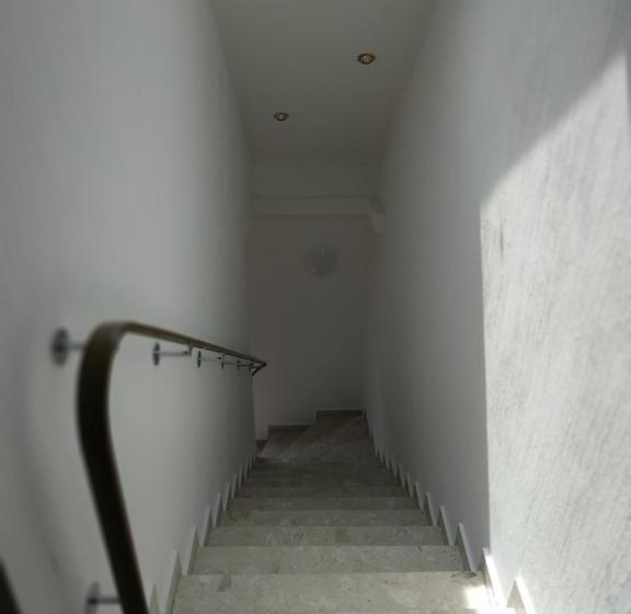 Семейный Номер, Stoevchen Café