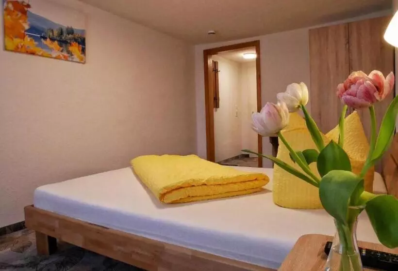 スタンダードシングルルーム, Wochner S Hotel Sternen Am Schluchsee Hochschwarzwald