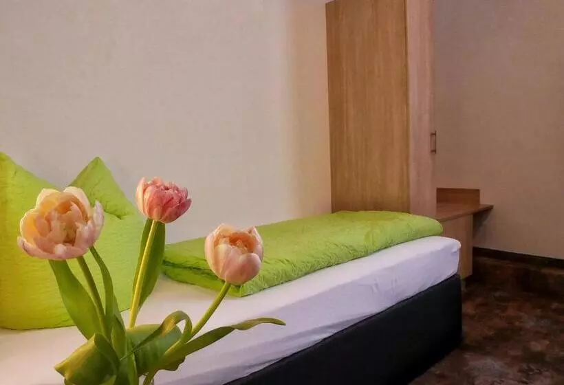 スタンダードシングルルーム, Wochner S Hotel Sternen Am Schluchsee Hochschwarzwald