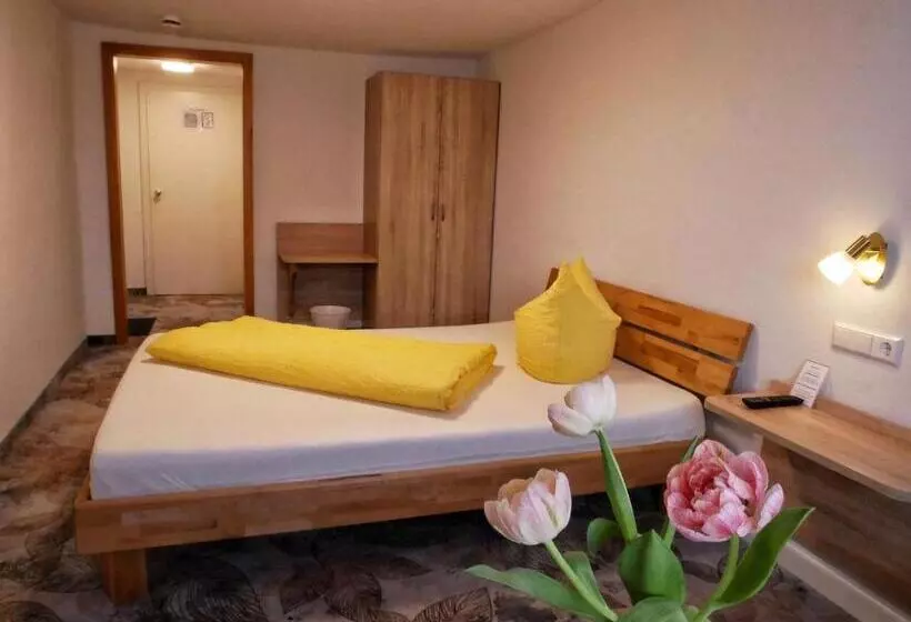 スタンダードシングルルーム, Wochner S Hotel Sternen Am Schluchsee Hochschwarzwald