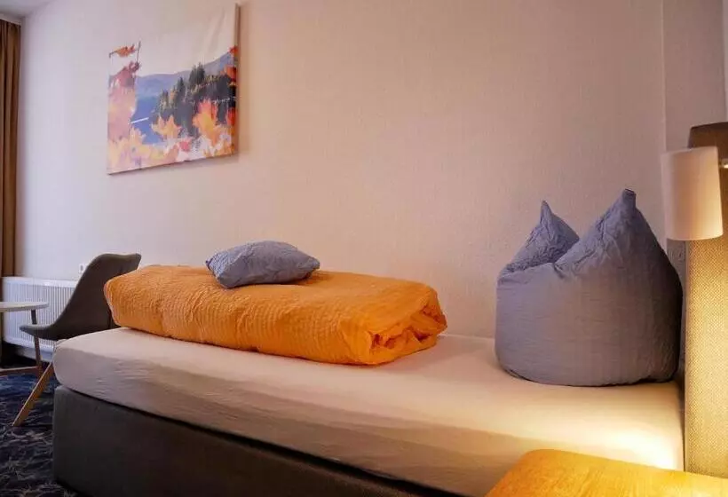 スタンダードシングルルーム, Wochner S Hotel Sternen Am Schluchsee Hochschwarzwald