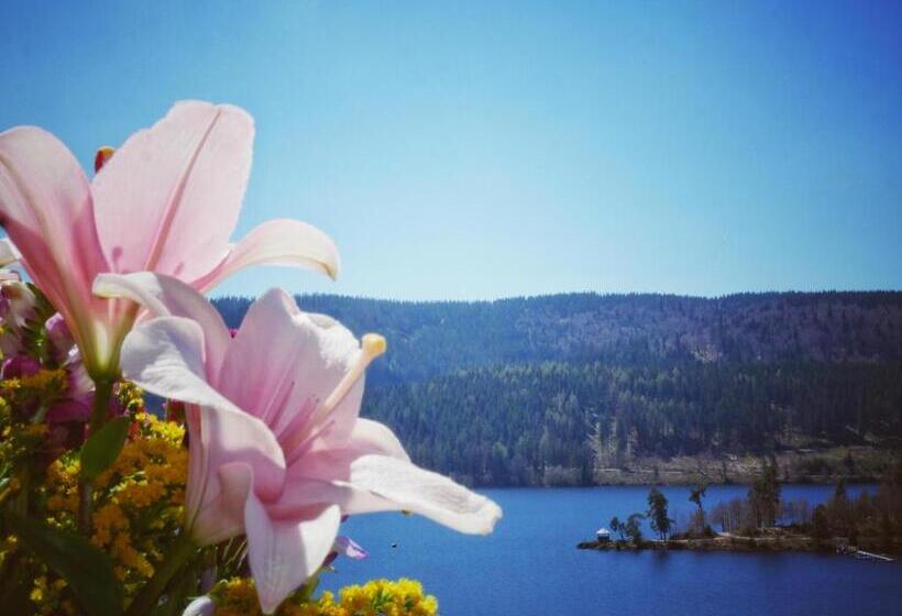 Полулюкс, Wochner S Hotel Sternen Am Schluchsee Hochschwarzwald