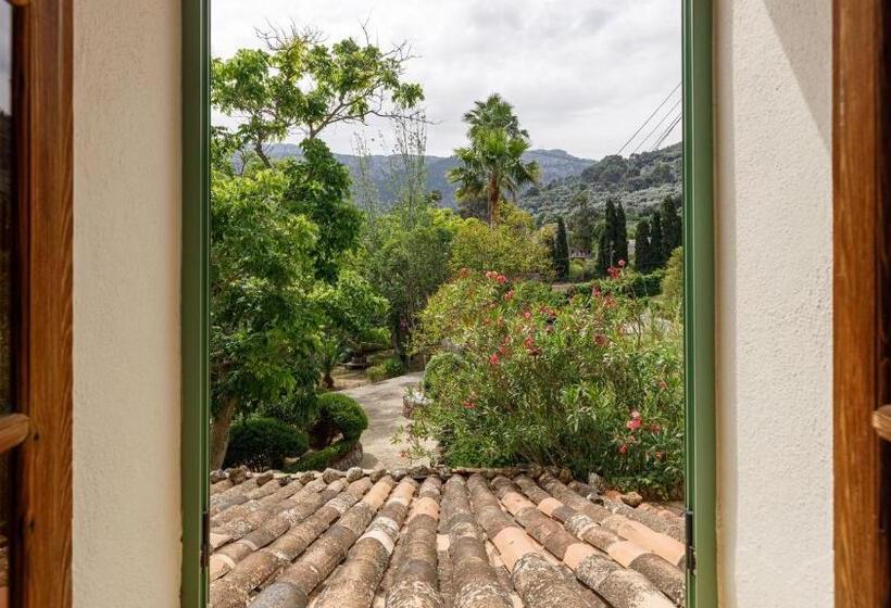 غرفة قياسية مطلة على الجبل, Finca Can Coll Boutique Country House   Adults Only