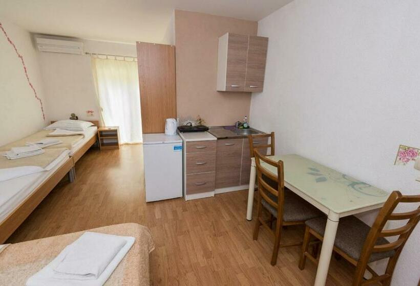 استودیو استاندارد با بالکن, Guest House Maria