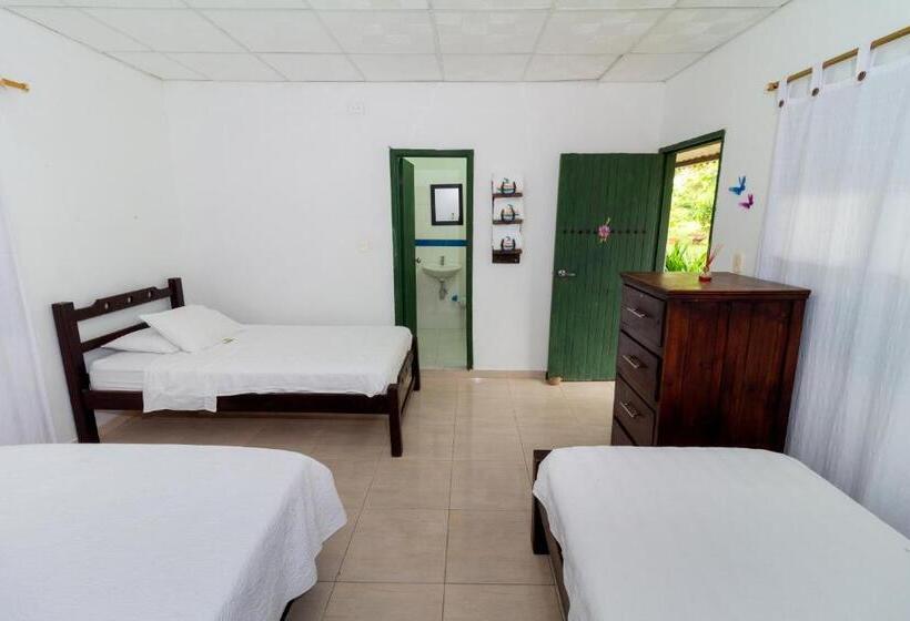 اتاق لوکس چهار تخته, Ecohotel La Fortuna