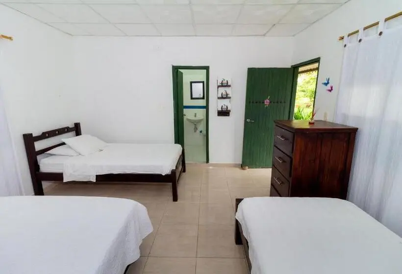 اتاق لوکس چهار تخته, Ecohotel La Fortuna