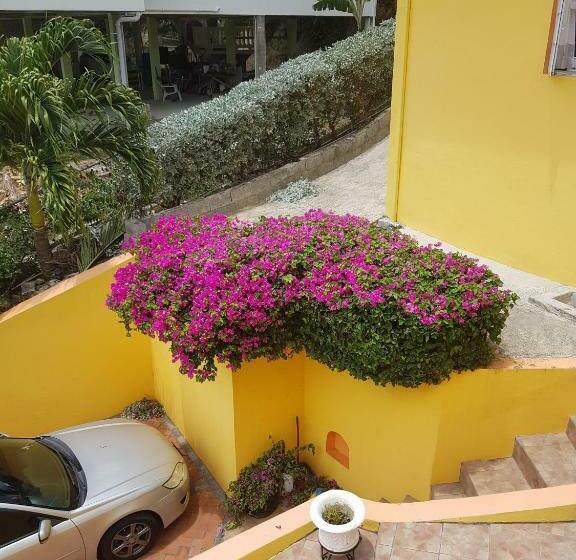اتاق استاندارد با چشم‌انداز کوهستان, Casa De Amor Suites And Tours