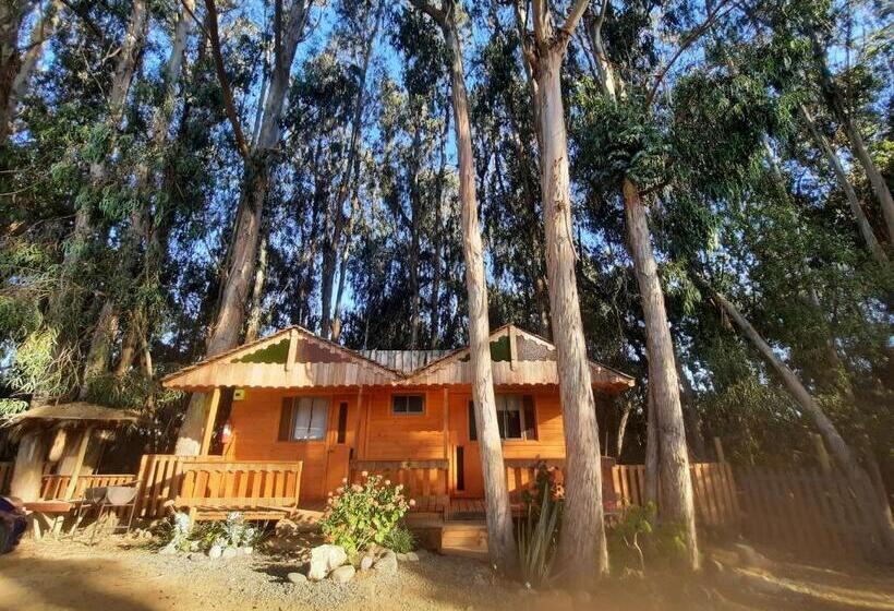 Президентский Люкс, Cabañas Eco Rústicas Sello S