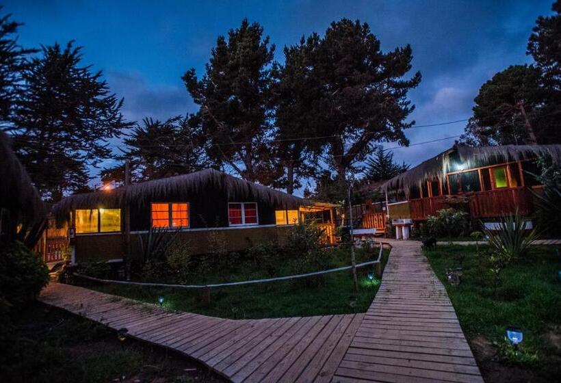 Президентский Люкс, Cabañas Eco Rústicas Sello S