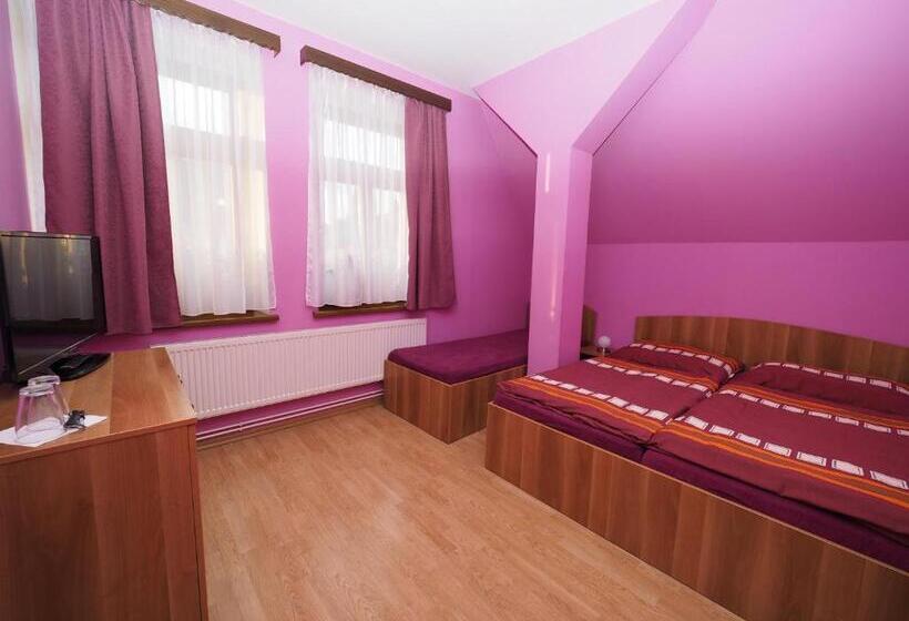 חדר סטנדרט, Penzion U Krejzů