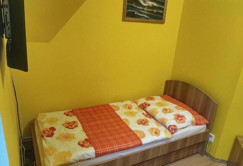 חדר סטנדרט יחיד, Penzion U Krejzů