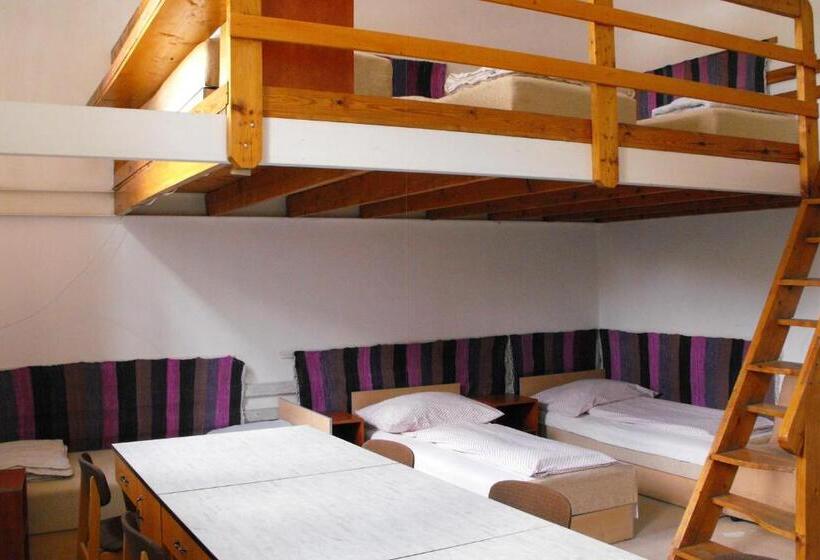 חדר סטנדרטי לארבעה עם חדר אמבטיה משותף, Season Hostel 2