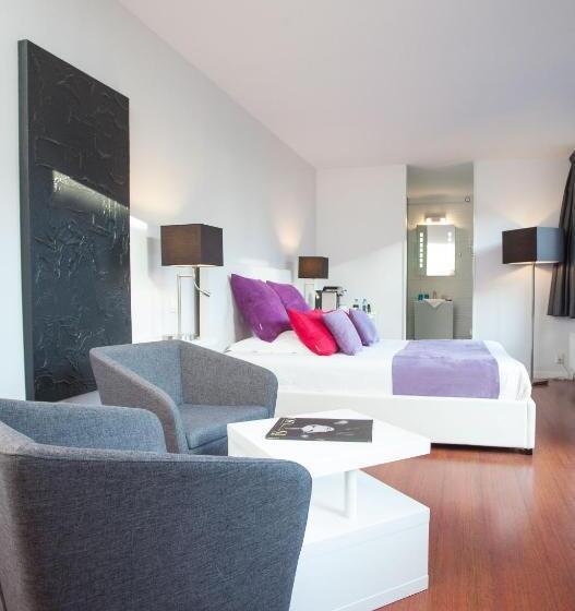 اتاق سوپریور یک تخته, L Esplanade Lille