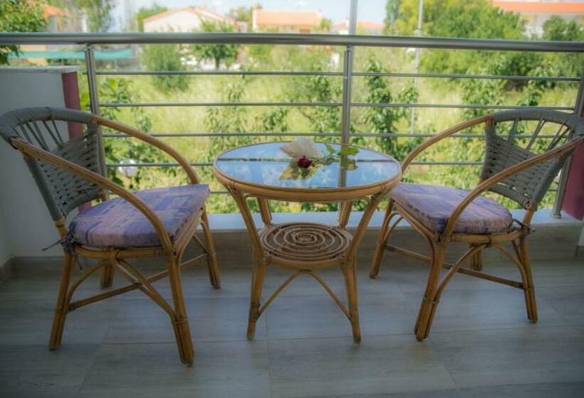 标准工作室, Star Paradise