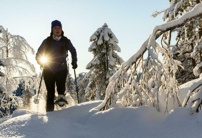 וילה עם 4 חדרי שינה, Tahko Golden Resort