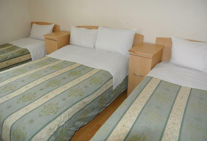 اتاق استاندارد چهار تخته, The Belgrove