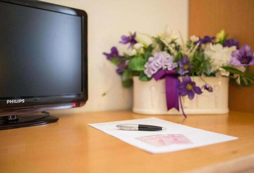 이코노미 룸, Benacus