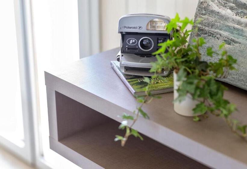 コンフォートトリプルルーム, Little