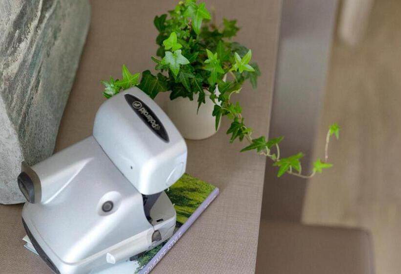 コンフォートトリプルルーム, Little