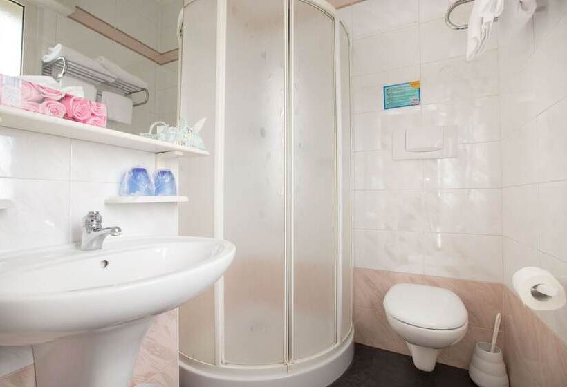 스탠다드 룸, Metropol