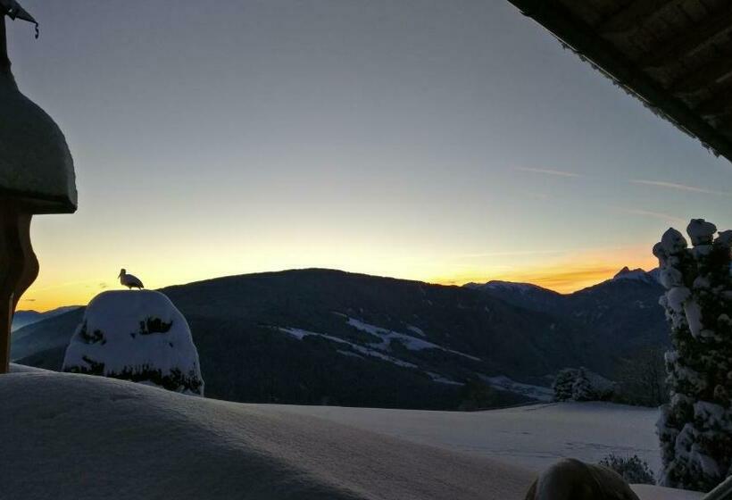 Номер Стандарт с Балконом, Residence Condor