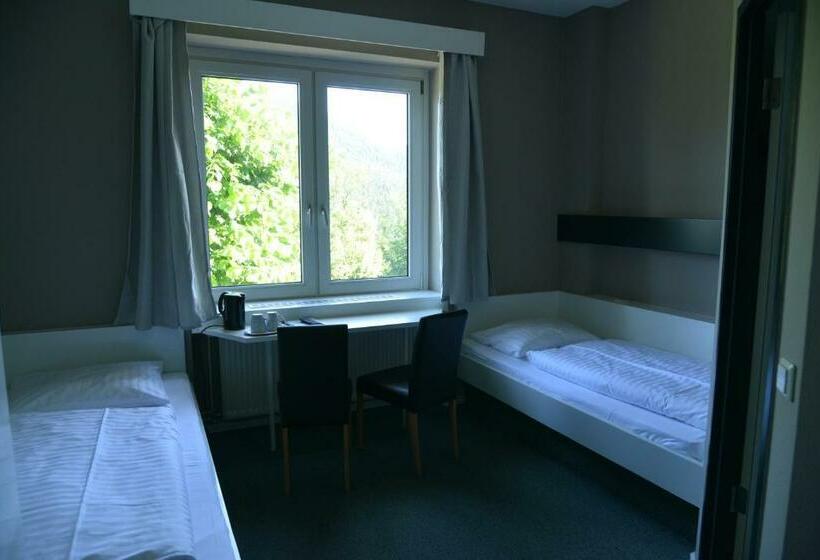 Номер Стандарт, Hotel & Tagungszentrum Hessenkopf