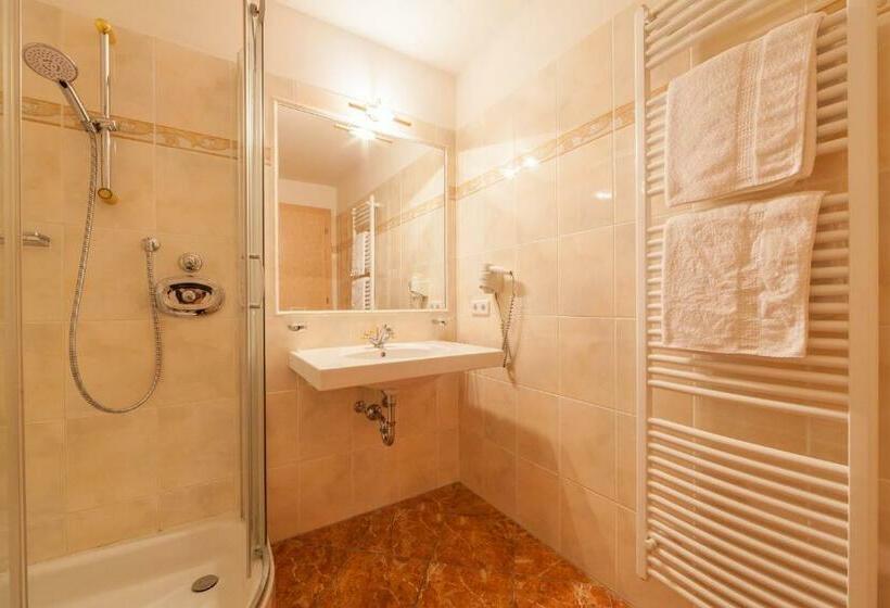 Номер Стандарт с Балконом, Tolderhof