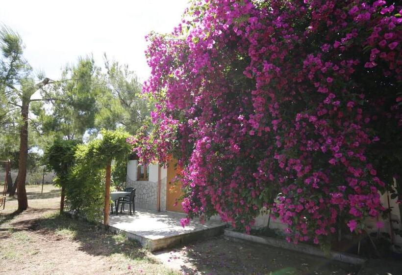 Апартаменты 1 Спальня, Agriturismo Posta Pastorella