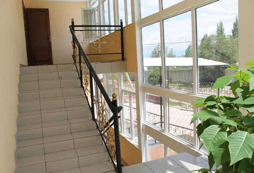 سوییت, Altamira