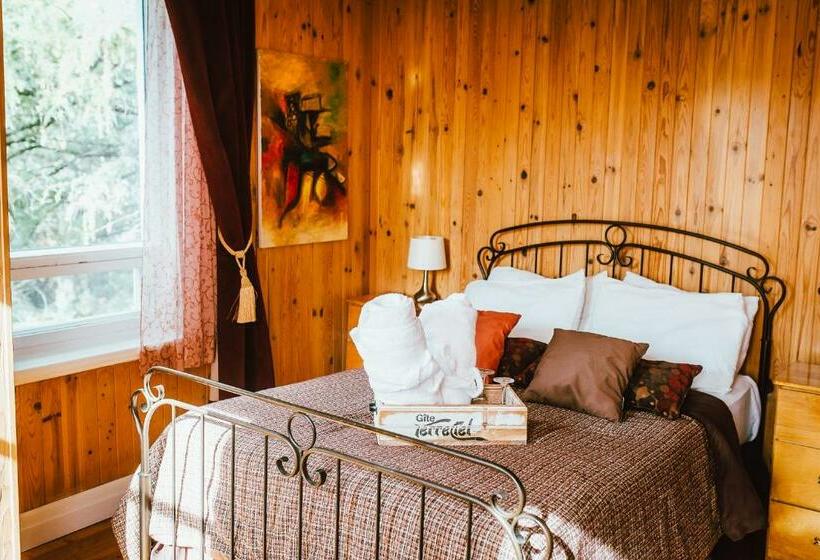 غرفة قياسية, Gîte Terreciel