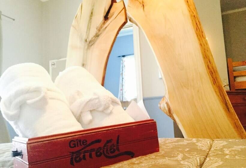 غرفة قياسية, Gîte Terreciel