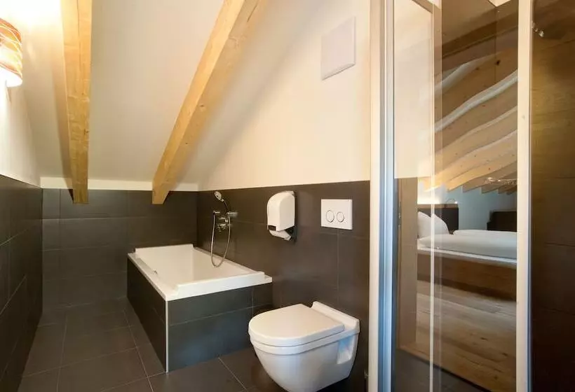 テラス付き１ベッドルームアパートメント, Residence Sägemühle