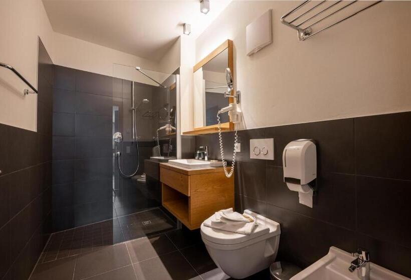 带1个卧室的带阳台的公寓, Residence Sägemühle