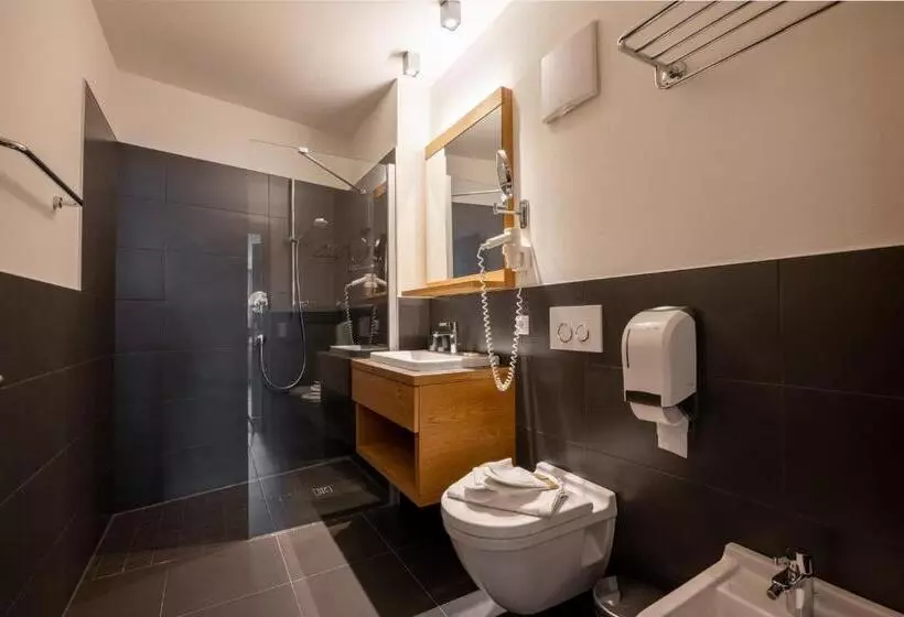 バルコニー付き１ベッドルームアパートメント, Residence Sägemühle