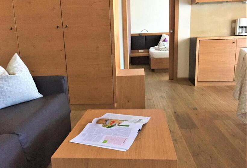 带1个卧室的带阳台的公寓, Residence Sägemühle