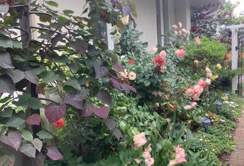 ガーデンビュースタンダードルーム, Via Veneto Old Town