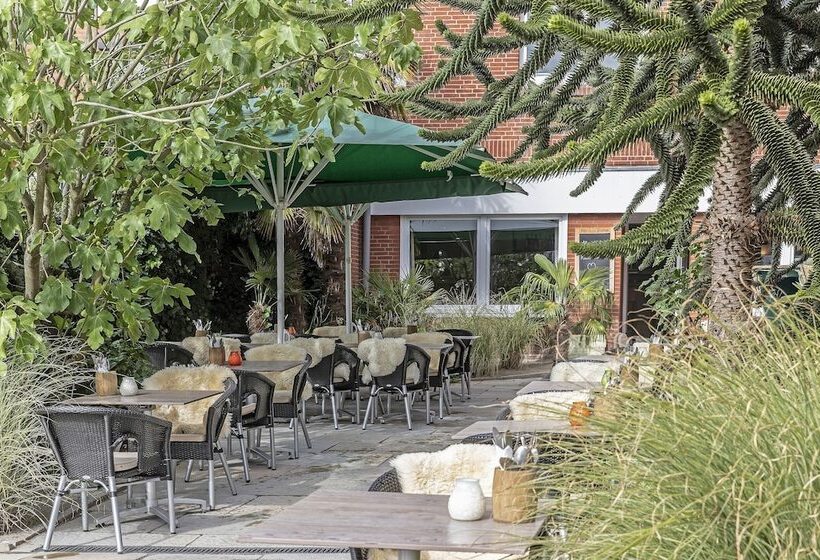 חדר קומפורט, Beach Hotel California