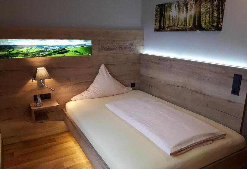 싱글 디럭스 룸, Bigger Hof   Wirtshaus Platzhirsch Am Jahnplatz